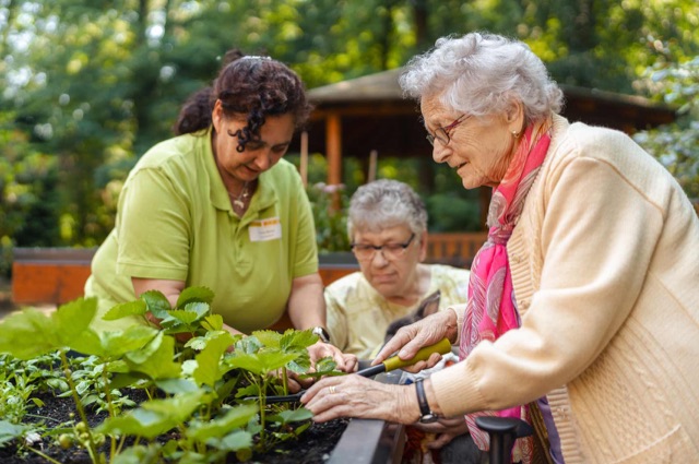 Pflegekraft des ASB mit Seniorinnen am Hochbeet